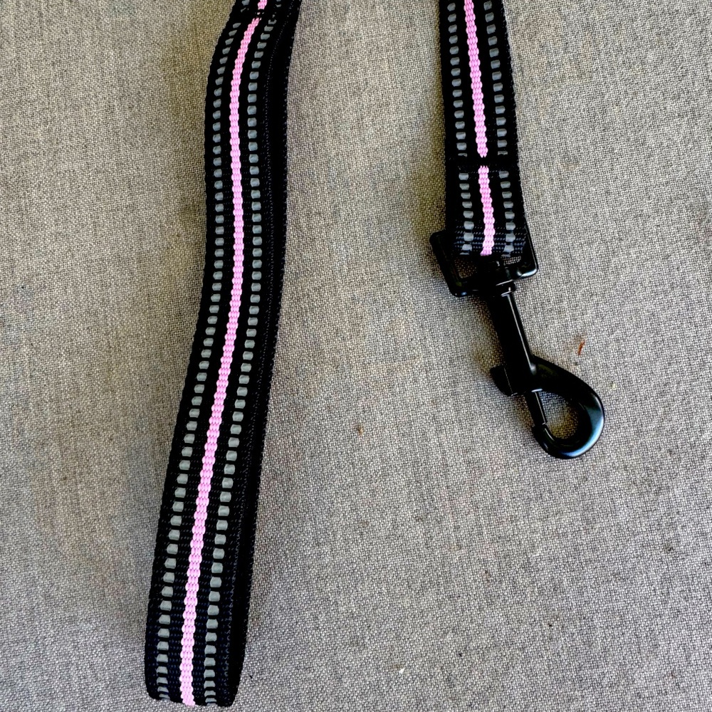 Dog Leash, Striped, Black, Gray & Pink